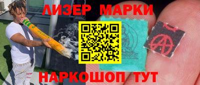 индика Новозыбков