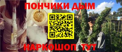 индика Новозыбков