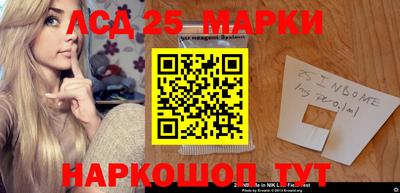 индика Новозыбков