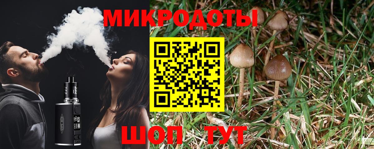 Сердобск  Галлюциногенные грибы Psilocybine cubensis  Вход с VPN 